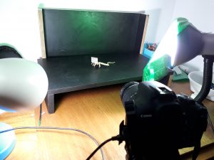 2020-05-30 Alien Free Mask Bastidores #BTS