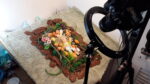BTS - Pascoa entre Flores